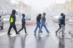 Śnieg podczas wiosny w Szwecji