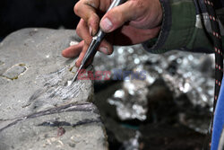 W Chile odkryto szczątki Elasmozaura