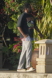 Sean „Diddy” Combs spaceruje po swoim ogrodzie