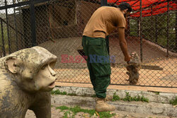 Zoo w Islamabadzie stało się ośrodkiem rehabilitacji dzikiej przyrody