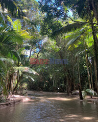 Jeden z najstarszych lasów tropikalnych otwarty dla turystów