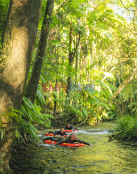 Jeden z najstarszych lasów tropikalnych otwarty dla turystów