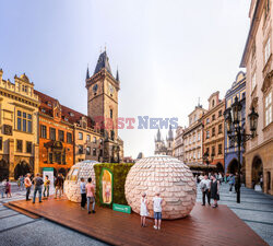 Budynki z grzybni w Czechach jako centrum glampingowe