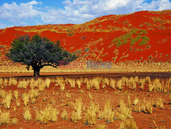 Dolina Sossusvlei w Namibii
