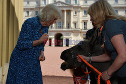 Królowa Camilla na uroczystości z okazji powstania organizacji charytatywnej