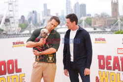 Sesja filmu Deadpool & Wolverine w Londynie