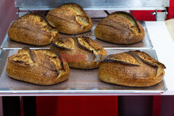 East News archiwum 2024