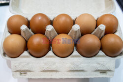 East News archiwum 2024