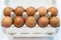 East News archiwum 2024