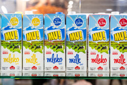 East News archiwum 2024