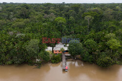 Zbieracze kauczuku w Amazonii - AFP