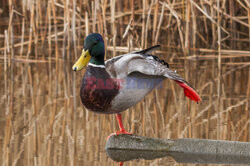 Reporter archiwum 2025 03