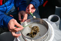 Mikroplastik w Rodanie - AFP