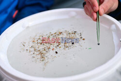 Mikroplastik w Rodanie - AFP