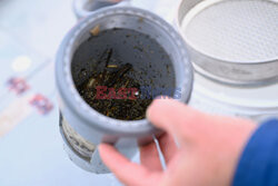 Mikroplastik w Rodanie - AFP