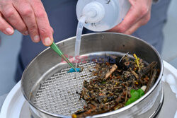Mikroplastik w Rodanie - AFP