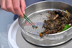 Mikroplastik w Rodanie - AFP