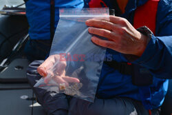 Mikroplastik w Rodanie - AFP