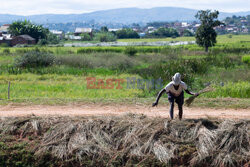 Życie codzienne na Madagaskarze - Sipa