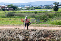 Życie codzienne na Madagaskarze - Sipa