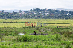 Życie codzienne na Madagaskarze - Sipa