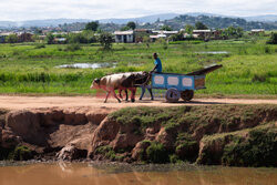 Życie codzienne na Madagaskarze - Sipa