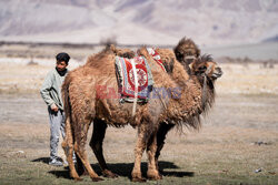 Ladakh - indyjski Tybet