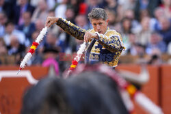 Corrida w Sewilli