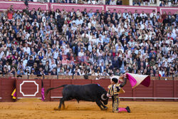 Corrida w Sewilli