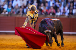 Corrida w Sewilli