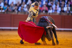 Corrida w Sewilli