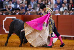 Corrida w Sewilli