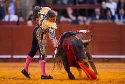 Corrida w Sewilli