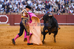 Corrida w Sewilli