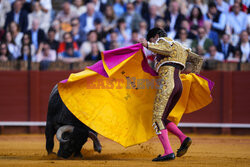 Corrida w Sewilli