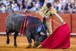 Corrida w Sewilli