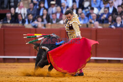 Corrida w Sewilli
