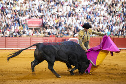 Corrida w Sewilli