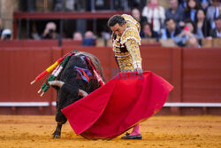 Corrida w Sewilli
