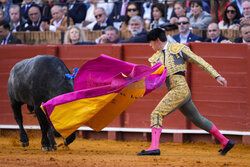 Corrida w Sewilli