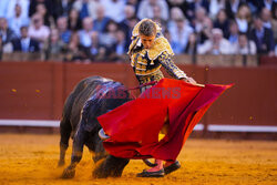 Corrida w Sewilli
