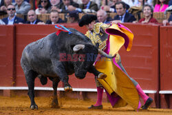 Corrida w Sewilli