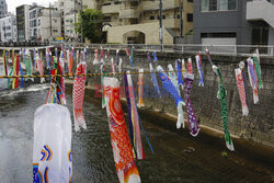 Koinobori na Dzień Dziecka