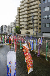 Koinobori na Dzień Dziecka