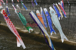 Koinobori na Dzień Dziecka