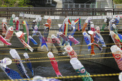 Koinobori na Dzień Dziecka