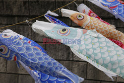Koinobori na Dzień Dziecka