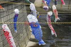 Koinobori na Dzień Dziecka