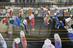 Koinobori na Dzień Dziecka