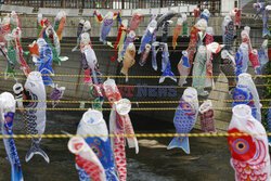 Koinobori na Dzień Dziecka